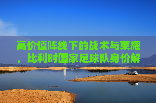 高价值阵线下的战术与荣耀，比利时国家足球队身价解析——从市场估值看红魔的竞技实力与未来图景，高价值阵线下的战术荣耀与竞技实力，比利时国家足球队身价解析及未来图景