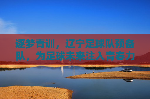 逐梦青训，辽宁足球队预备队，为足球未来注入青春力量，逐梦青训，辽宁足球队预备队为足球未来注入青春力量
