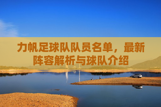 力帆足球队队员名单,最新阵容解析与球队介绍