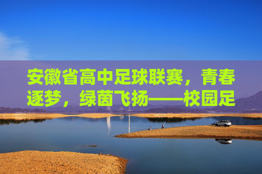 安徽省高中足球联赛，青春逐梦，绿茵飞扬——校园足球的活力绽放，安徽省高中足球联赛，青春逐梦，绿茵飞扬——校园足球的活力绽放
