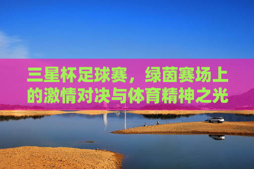 三星杯足球赛，绿茵赛场上的激情对决与体育精神之光，三星杯足球赛，绿茵赛场激情对决与体育精神之光