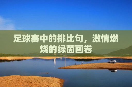 足球赛中的排比句，激情燃烧的绿茵画卷