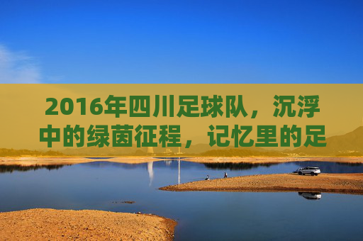 2016年四川足球队,沉浮中的绿茵征程,记忆里的足球温度,2016年四川足球队,沉浮中的绿茵征程,记忆里的足球温度