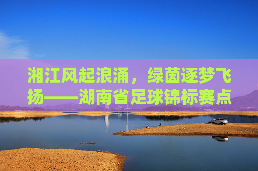 湘江风起浪涌,绿茵逐梦飞扬——湖南省足球锦标赛点燃青春热血,谱写湘足球事业新篇章