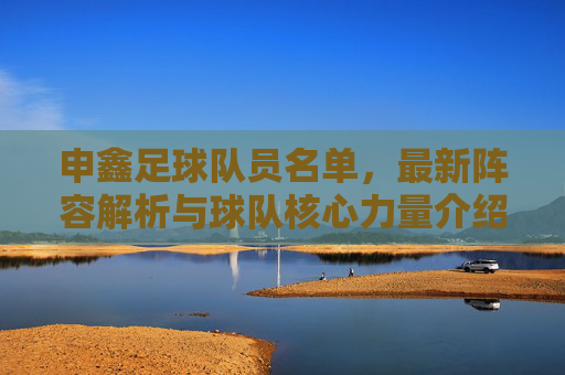 申鑫足球队员名单，最新阵容解析与球队核心力量介绍，申鑫足球队员名单，最新阵容解析与核心力量详解