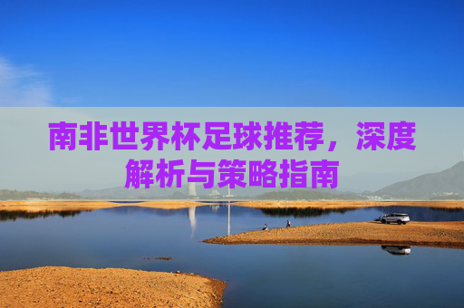 南非世界杯足球推荐，深度解析与策略指南
