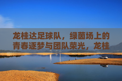 龙桂达足球队,绿茵场上的青春逐梦与团队荣光,龙桂达足球队,绿茵场上的青春逐梦与团队荣光