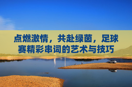 点燃激情,共赴绿茵,足球赛精彩串词的艺术与技巧
