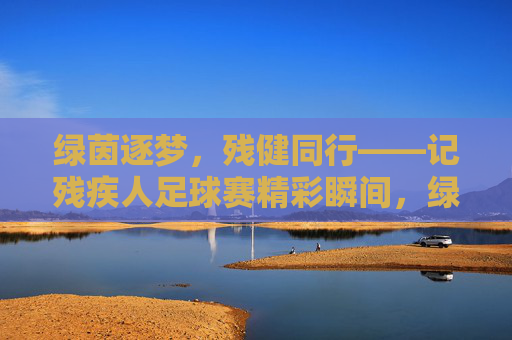 绿茵逐梦，残健同行——记残疾人足球赛精彩瞬间，绿茵逐梦，残健同行——记残疾人足球赛精彩瞬间