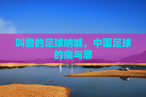 叫兽的足球呐喊，中国足球的痛与思