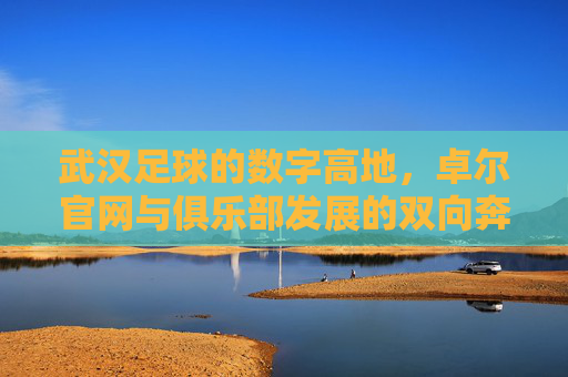 武汉足球的数字高地，卓尔官网与俱乐部发展的双向奔赴，武汉足球的数字高地，卓尔官网与俱乐部发展的双向奔赴