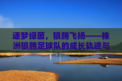 逐梦绿茵，狼腾飞扬——株洲狼腾足球队的成长轨迹与精神内核，逐梦绿茵，狼腾飞扬——株洲狼腾足球队的成长轨迹与精神内核
