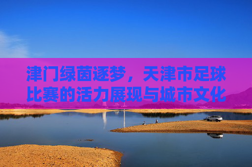 津门绿茵逐梦，天津市足球比赛的活力展现与城市文化传承