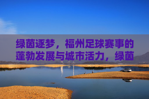 绿茵逐梦,福州足球赛事的蓬勃发展与城市活力,绿茵逐梦,福州足球赛事的蓬勃发展与城市活力