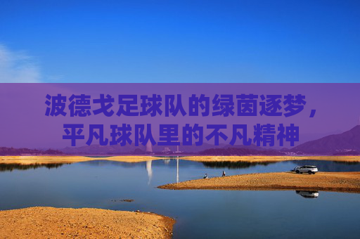 波德戈足球队的绿茵逐梦,平凡球队里的不凡精神