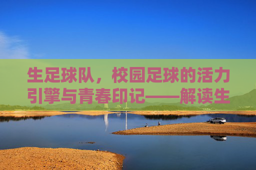 生足球队，校园足球的活力引擎与青春印记——解读生足球队的核心内涵与时代价值，生足球队，校园足球的活力引擎与青春印记——解码其核心内涵与时代价值