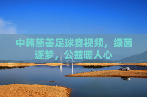 中韩慈善足球赛视频，绿茵逐梦，公益暖人心
