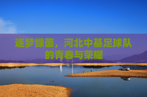逐梦绿茵，河北中基足球队的青春与荣耀