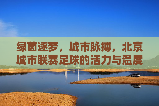 绿茵逐梦,城市脉搏,北京城市联赛足球的活力与温度