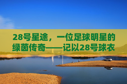 28号星途,一位足球明星的绿茵传奇——记以28号球衣驰骋的足球天才,28号星途,记以28号球衣驰骋的足球天才的绿茵传奇