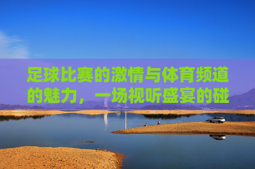 足球比赛的激情与体育频道的魅力，一场视听盛宴的碰撞，足球比赛的激情与体育频道的魅力，一场视听盛宴的碰撞