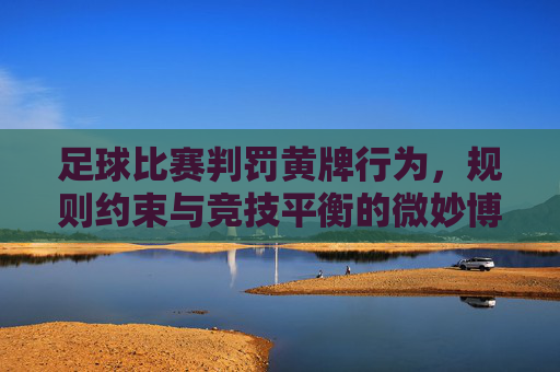足球比赛判罚黄牌行为,规则约束与竞技平衡的微妙博弈