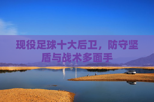 现役足球十大后卫,防守坚盾与战术多面手