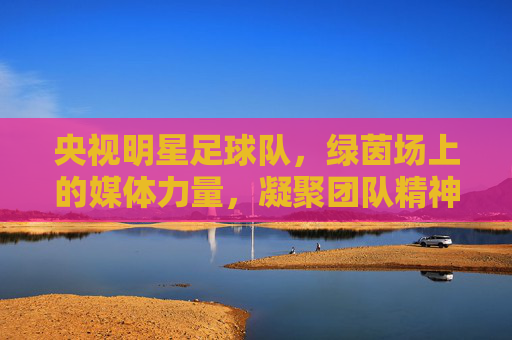 央视明星足球队，绿茵场上的媒体力量，凝聚团队精神与社会正能量