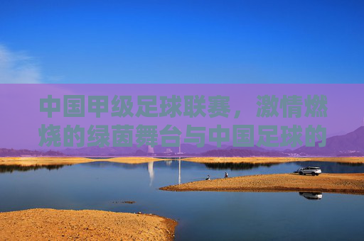 中国甲级足球联赛,激情燃烧的绿茵舞台与中国足球的转型之路,中国甲级足球联赛,激情燃烧的绿茵舞台与中国足球的转型之路