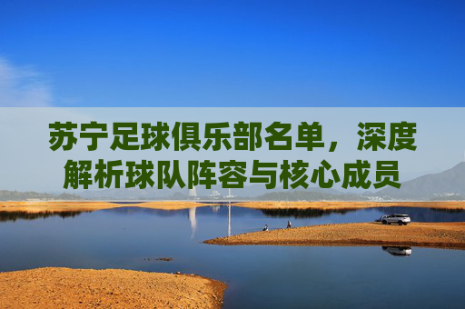 苏宁足球俱乐部名单，深度解析球队阵容与核心成员