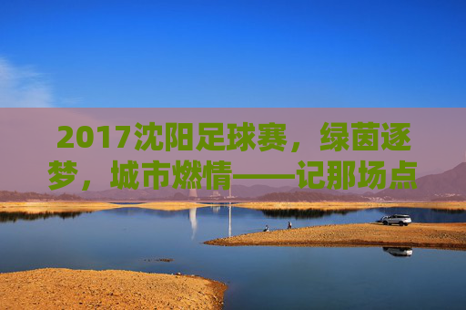 2017沈阳足球赛，绿茵逐梦，城市燃情——记那场点燃沈阳的足球盛宴