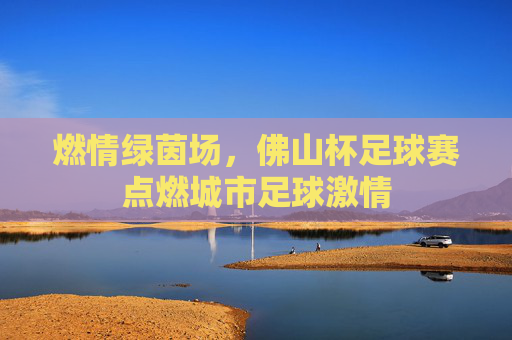 燃情绿茵场,佛山杯足球赛点燃城市足球激情