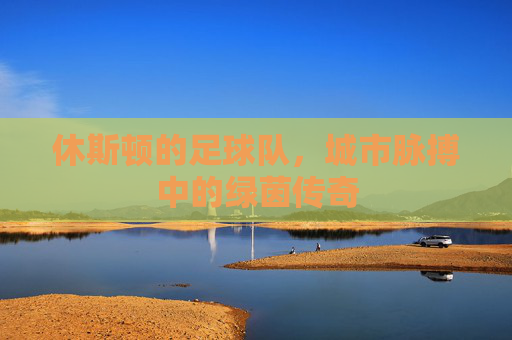 休斯顿的足球队,城市脉搏中的绿茵传奇