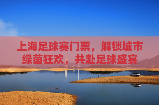 上海足球赛门票,解锁城市绿茵狂欢,共赴足球盛宴