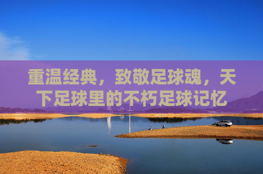 重温经典,致敬足球魂,天下足球里的不朽足球记忆