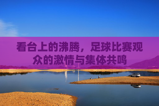 看台上的沸腾,足球比赛观众的激情与集体共鸣