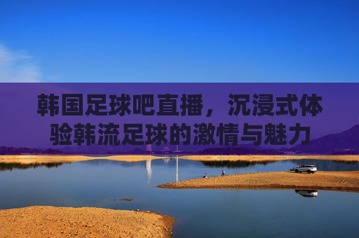 韩国足球吧直播,沉浸式体验韩流足球的激情与魅力
