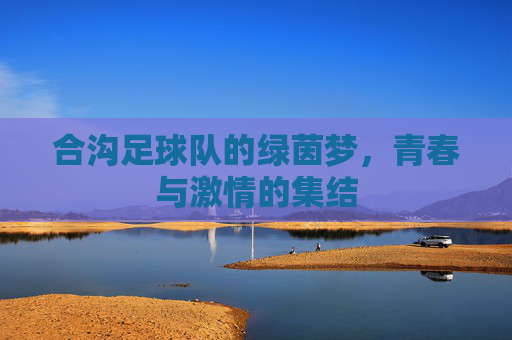 合沟足球队的绿茵梦,青春与激情的集结