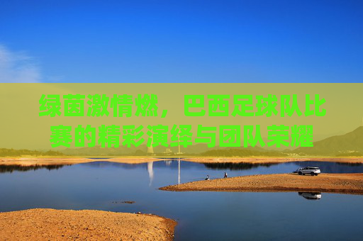 绿茵激情燃，巴西足球队比赛的精彩演绎与团队荣耀