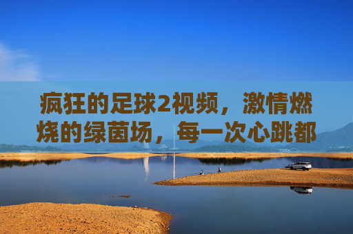 疯狂的足球2视频，激情燃烧的绿茵场，每一次心跳都是足球的共鸣