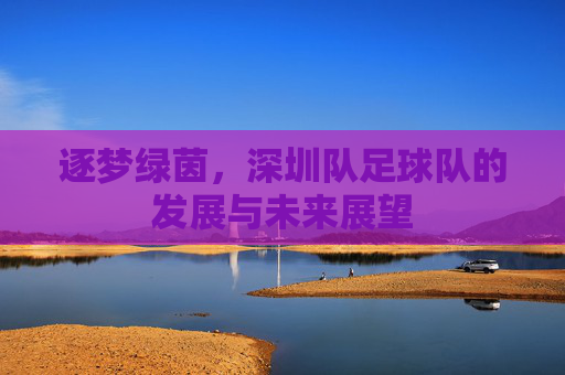 逐梦绿茵,深圳队足球队的发展与未来展望