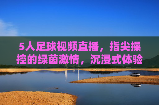 5人足球视频直播，指尖操控的绿茵激情，沉浸式体验的足球盛宴