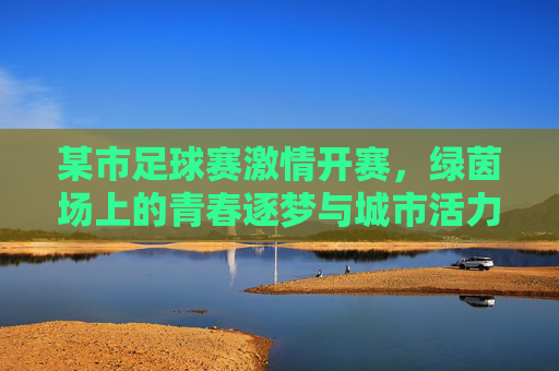 某市足球赛激情开赛，绿茵场上的青春逐梦与城市活力，某市足球赛激情开赛，绿茵场上的青春逐梦与城市活力