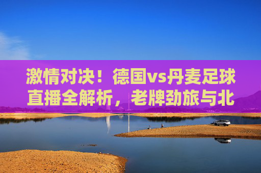 激情对决!德国vs丹麦足球直播全解析,老牌劲旅与北欧强队的绿茵博弈