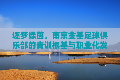 逐梦绿茵，南京金基足球俱乐部的青训根基与职业化发展之路，逐梦绿茵，南京金基足球俱乐部的青训根基与职业化发展之路