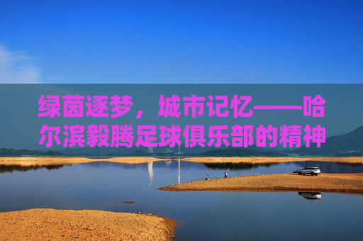 绿茵逐梦，城市记忆——哈尔滨毅腾足球俱乐部的精神图鉴，绿茵逐梦，城市记忆——哈尔滨毅腾足球俱乐部的精神图鉴