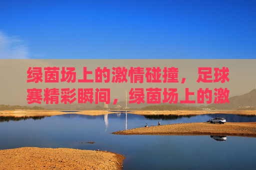绿茵场上的激情碰撞，足球赛精彩瞬间，绿茵场上的激情碰撞，足球赛精彩瞬间