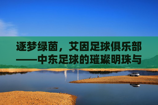 逐梦绿茵,艾因足球俱乐部——中东足球的璀璨明珠与传承故事