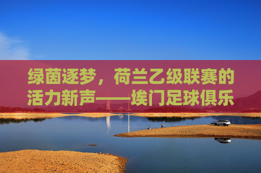 绿茵逐梦，荷兰乙级联赛的活力新声——埃门足球俱乐部，绿茵逐梦，荷兰乙级联赛的活力新声——埃门足球俱乐部