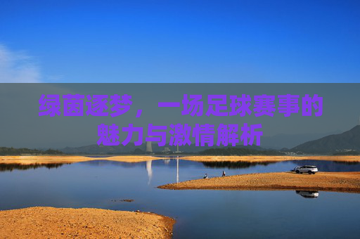 绿茵逐梦，一场足球赛事的魅力与激情解析